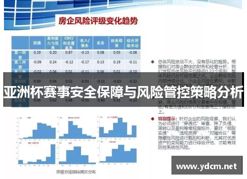 亚洲杯赛事安全保障与风险管控策略分析